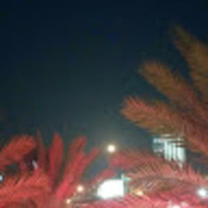 Meet your Posher, Yolene